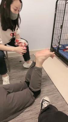 【安静大大】双奴被母女S刑虐【双视角版】  JS22102509