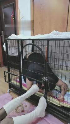 【西安欣】贱狗不舔干净鞋子就关笼子 bf13573