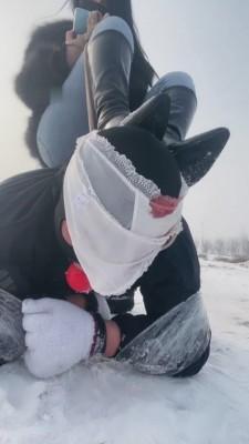 【思诺】雪地的一场遛狗之旅 bf9061