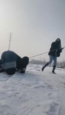 【思诺】雪地的一场遛狗之旅 bf9061