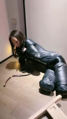 【双子姬】虐待人形犬女奴 bf20520