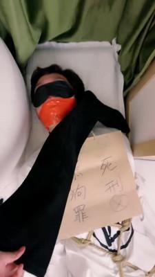 【若依】舔狗的下场很悲惨【完整版】 bf20827