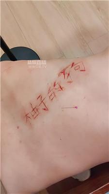 【暴力柚子】狗背上写字 JS251129-39