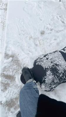【77夫妻】冰天雪地训人形犬 JS251219-1