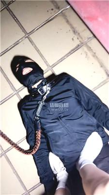 【深圳卡卡】天台遛人形犬 JS251213-26