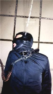 【深圳卡卡】天台遛人形犬 JS251213-26