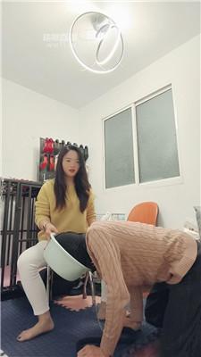 【荣荣殿下】贱狗发工资全上缴圈养 JS251226-16