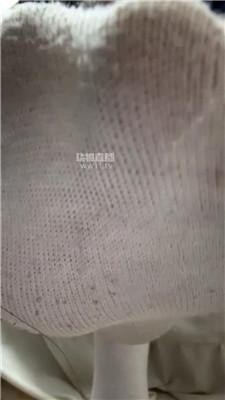 【杪杪】方言羞辱    251224-16