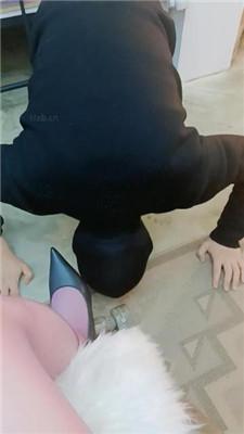 【绯闻王妃】高跟踩狗头/恋足舔